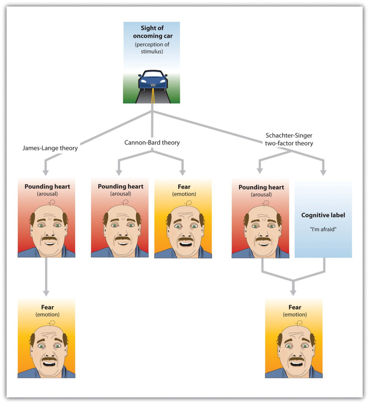 Cognitive Appraisal Theory Of Emotion Flow Chart