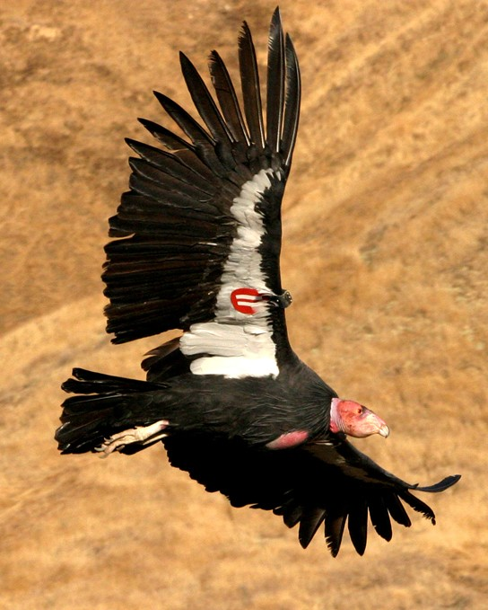 media/image7.png