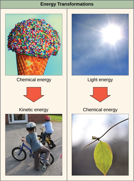 media/image4.png